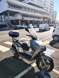 versity XC 300
