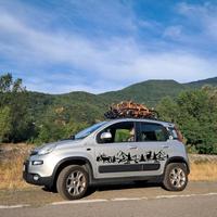 fiat panda 4x4  1.3 multijet 
