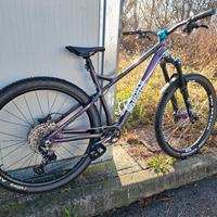 Dabomb sentinel 29er 
