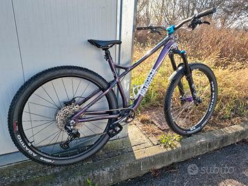 Dabomb sentinel 29er 