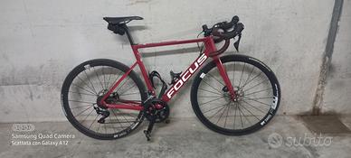 focus izalco 8.8 L 56