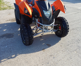 ATV quad ADLY 320 S