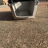 Gabbia portantina cani per auto