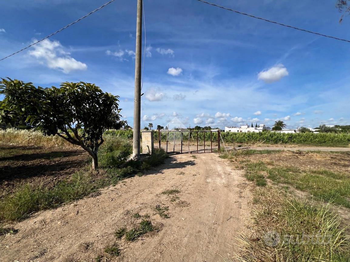 TER. AGRICOLO A MESAGNE - Vista 5