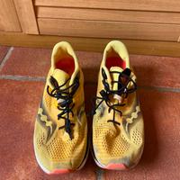 Saucony Endorphin series speed roll carbonio