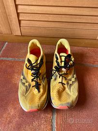 Saucony Endorphin series speed roll carbonio