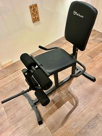 Leg Extension Palestra