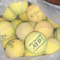 Palline tennis usate 50 per gioco cane