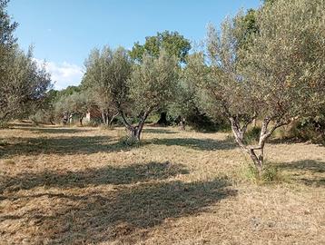 Terreno con casaletto