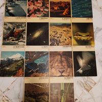 collana libri natura