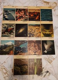 collana libri natura