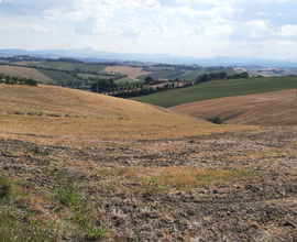 Terreno agricolo