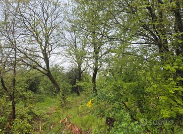 Terreno con piccolo deposito