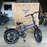 Bici elettriche Engwe ep-pro