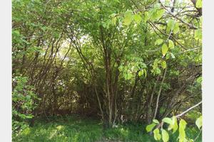 Vicoforte (CN), terreno edificabile