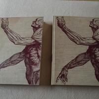 Libri "le meraviglie del nostro corpo" vol.1-2 '64