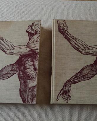Libri "le meraviglie del nostro corpo" vol.1-2 '64