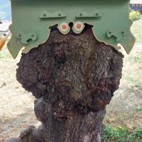 appendiabiti portamantelli country