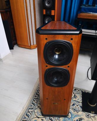 CASSE ACUSTICHE TANNOY DEFINITION D 500