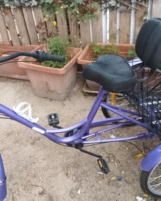 Bicicletta tre ruote adulti