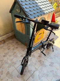 Bici elettrica same bike