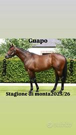 Stagione di monta 2026