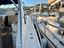 Immagine 10