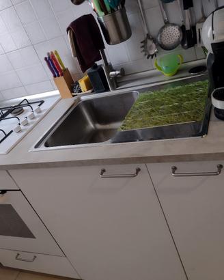 cucina.