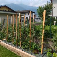 pali per orto pomodori peperoni melanzane