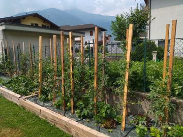 pali per orto pomodori peperoni melanzane