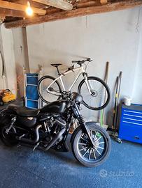 Iron 883 del 2013