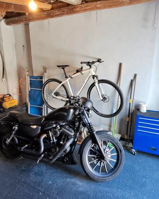 Iron 883 del 2013