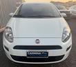fiat-punto-1-2-distribuzione-batteria
