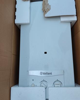 scaldino Vaillant 