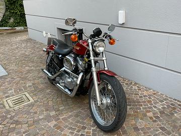 Harley davidson 883