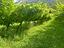 Immagine 20