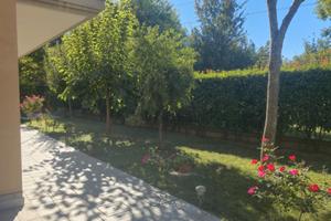 Immobile con giardino