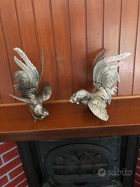 Galli da combattimento