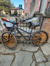 rockrider