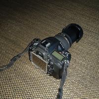 NIKON D 7000