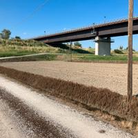 Terra agricola Mazzorno dx