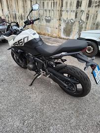 Triumph Tiger Sport 660