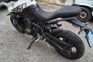 Triumph Tiger Sport 660