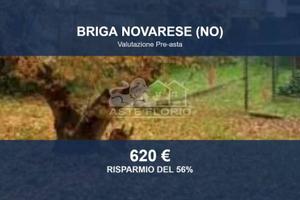 Immobile in asta di 47 m² a Briga Novarese