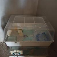 Gabbia per criceti o piccoli roditori.