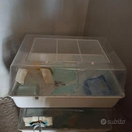 Gabbia per criceti o piccoli roditori.