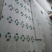 Piastrellista,posatore