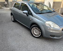 Fiat punto neopatentati