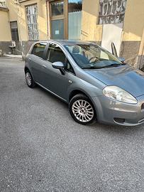 Fiat punto neopatentati