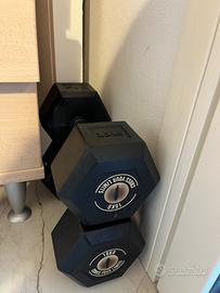 Coppia Dumbbells Gladius 15 kg